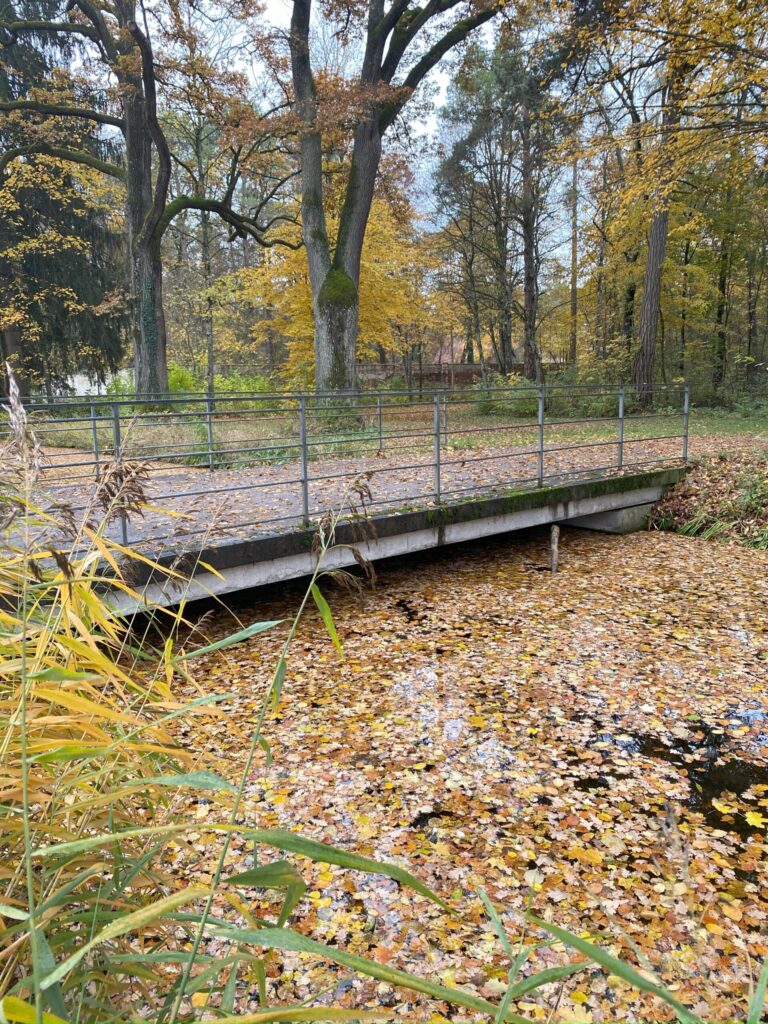 Brücke über einem Fluss
